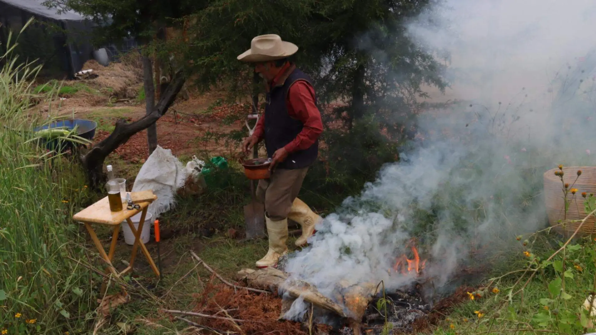 huevo de maguey al rescoldo (5)